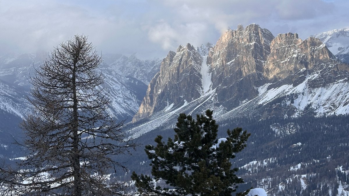 APTN News tweet media