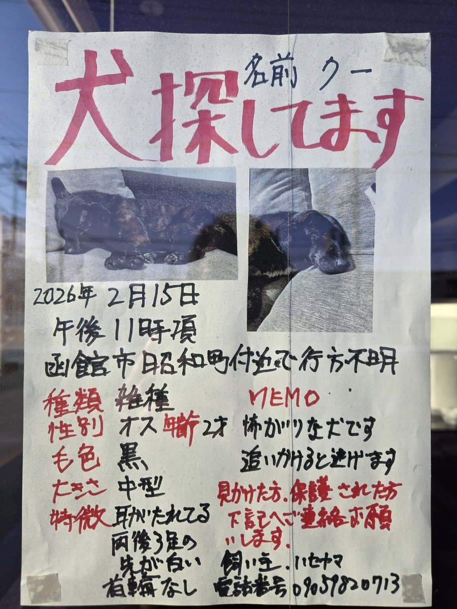 さとる tweet media