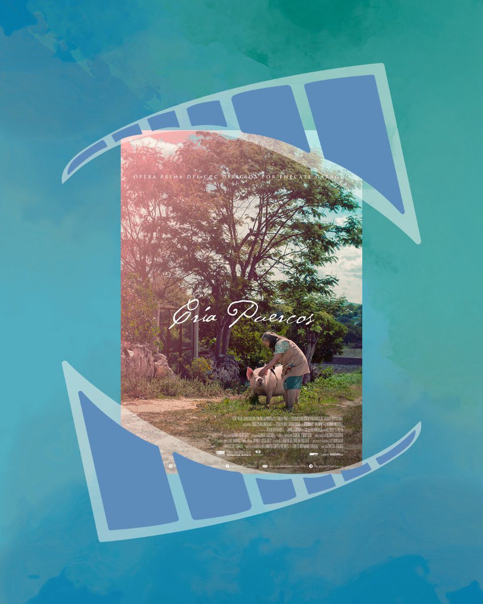 ElcinealaescuelaMX tweet media