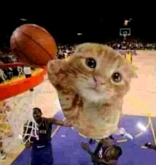 Não vai dar pra postar hoje, então amanhã, as 10 horas, eu vou postar meu novo desenho, e ele tá massa demais, estou tentando seguir um estilo diferente do tradicional do que eu trago
Dica: ela não tem pupilas