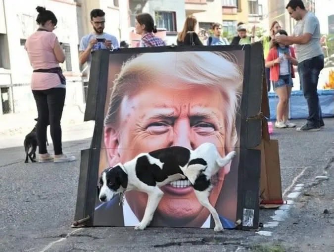 ʏᴜᴇ🌬️🌕🦋 tweet media