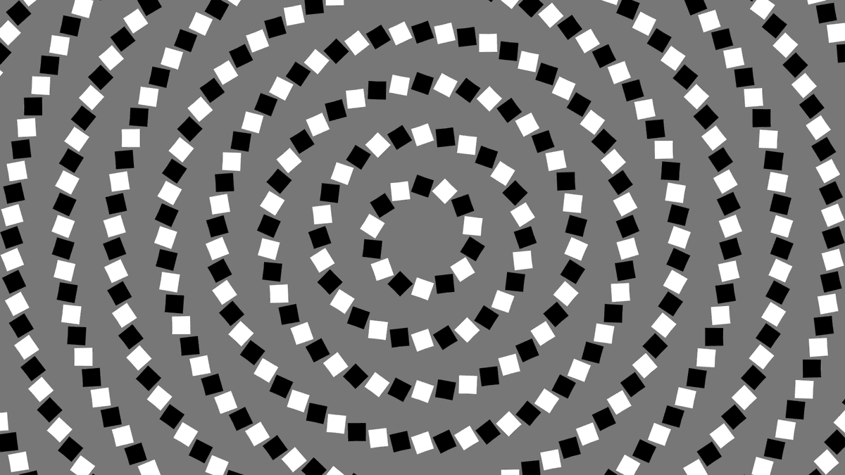 Frank Force 🌻 tweet media