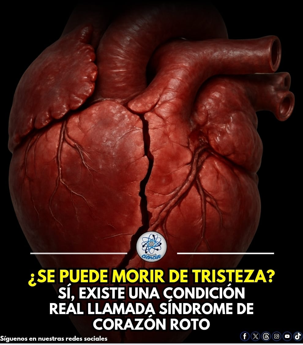 Enséñame de Ciencia tweet media