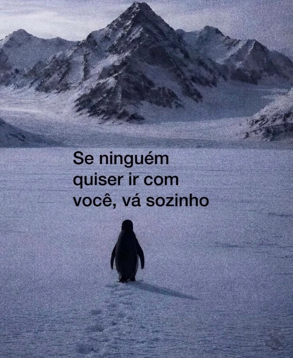 Privacidades's tweet photo. https://t.co/jZVtq7pnaQ