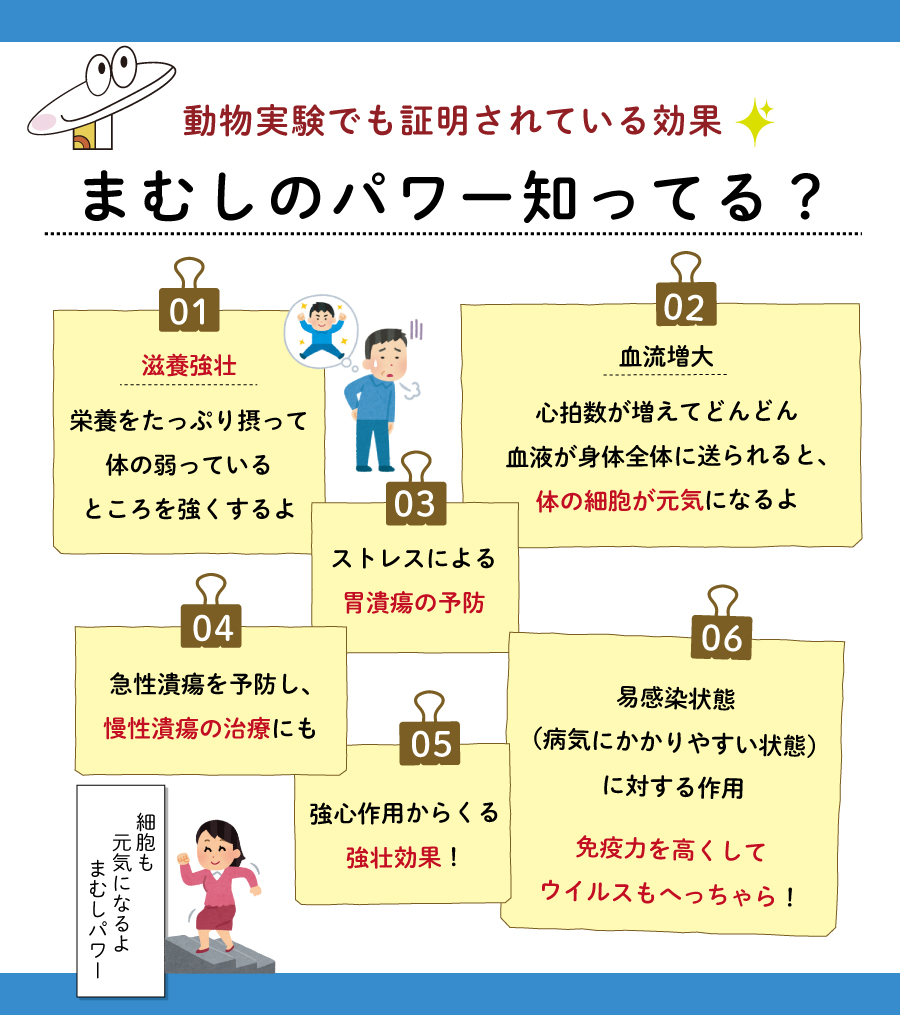 sakamotokampow's tweet photo. 僕、まむしのマムオ！これから季節ごとのお悩みや漢方にまつわる話をわかりやすく発信するね！
僕を知ってほしいから、まずは自己紹介！
僕、まむしは漢方医学では古くから使われていてずいぶん珍重されてきたんだ。
昔の人はいろんな経験を通して、僕の秘めたるパワーに気が付いていたってわけだね！ https://t.co/pbrQGg054Z
