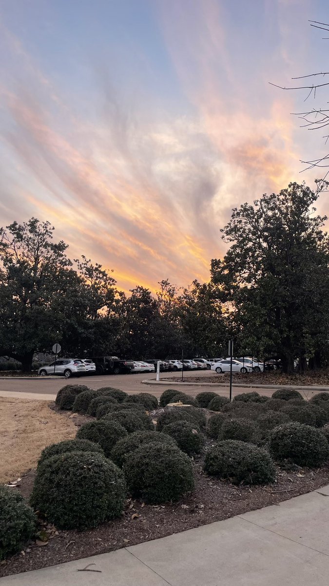 Michael Benji Gillespie tweet media