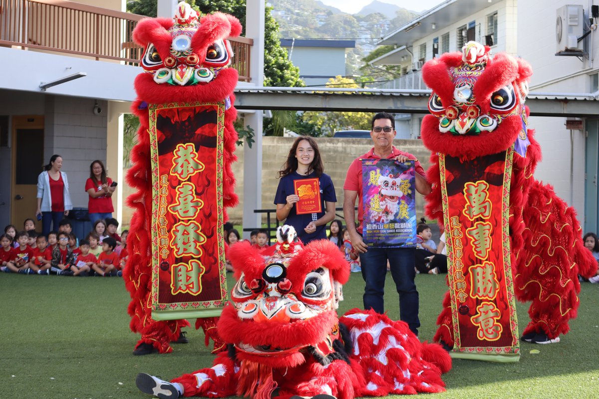 HMS Dolphins tweet media