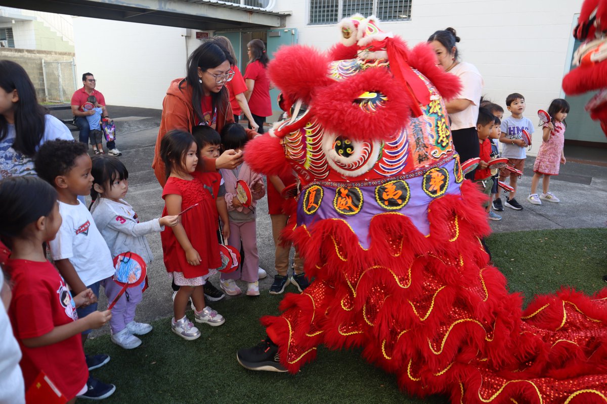 HMS Dolphins tweet media
