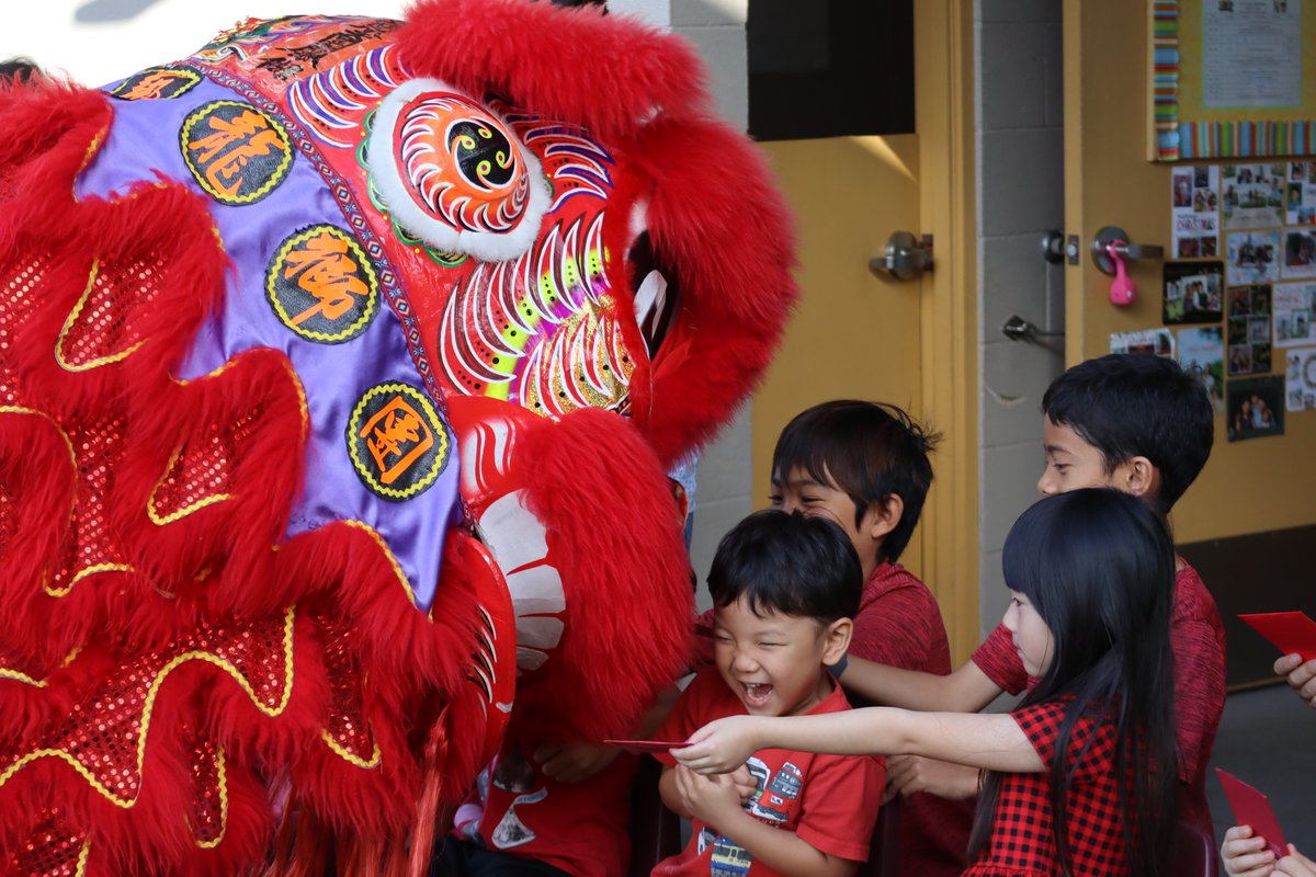 HMS Dolphins tweet media