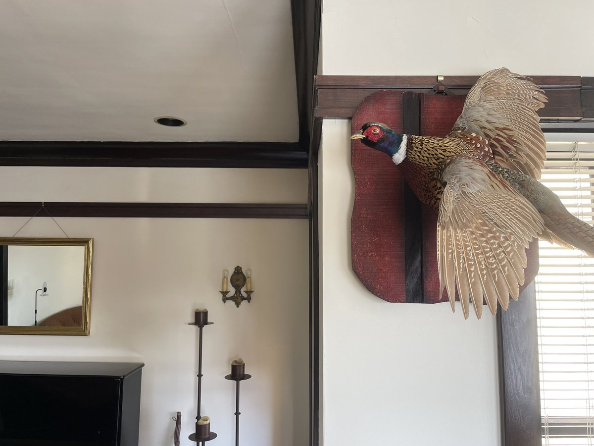 Mike 🧸 tweet media