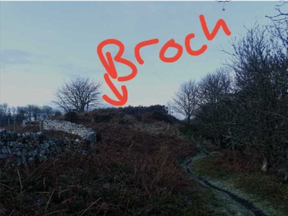 Caithness Broch Project tweet media