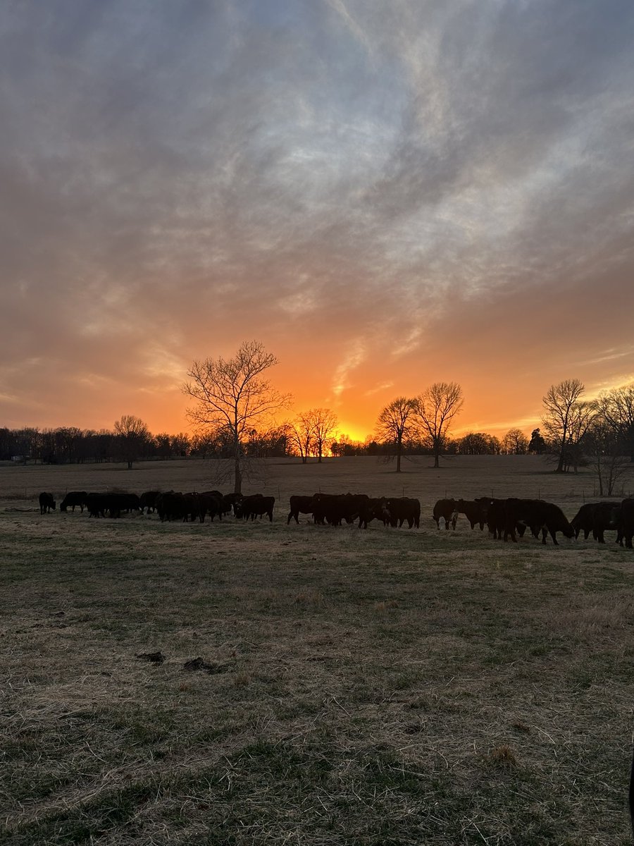 Matt Carter tweet media