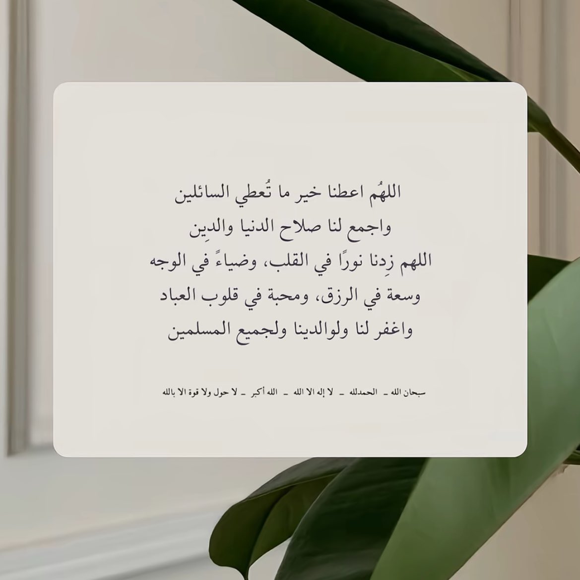 يا وهاب اوهبني أُمنياتي، وأحلامي ورغباتي إنك على كُل شيءً قدير 🌱.
#يوم_الجمعة