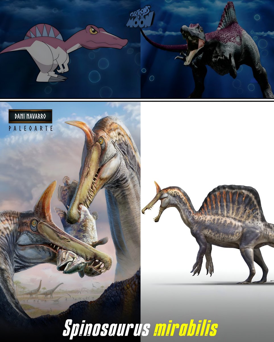 Cartoons On The Moon tweet media