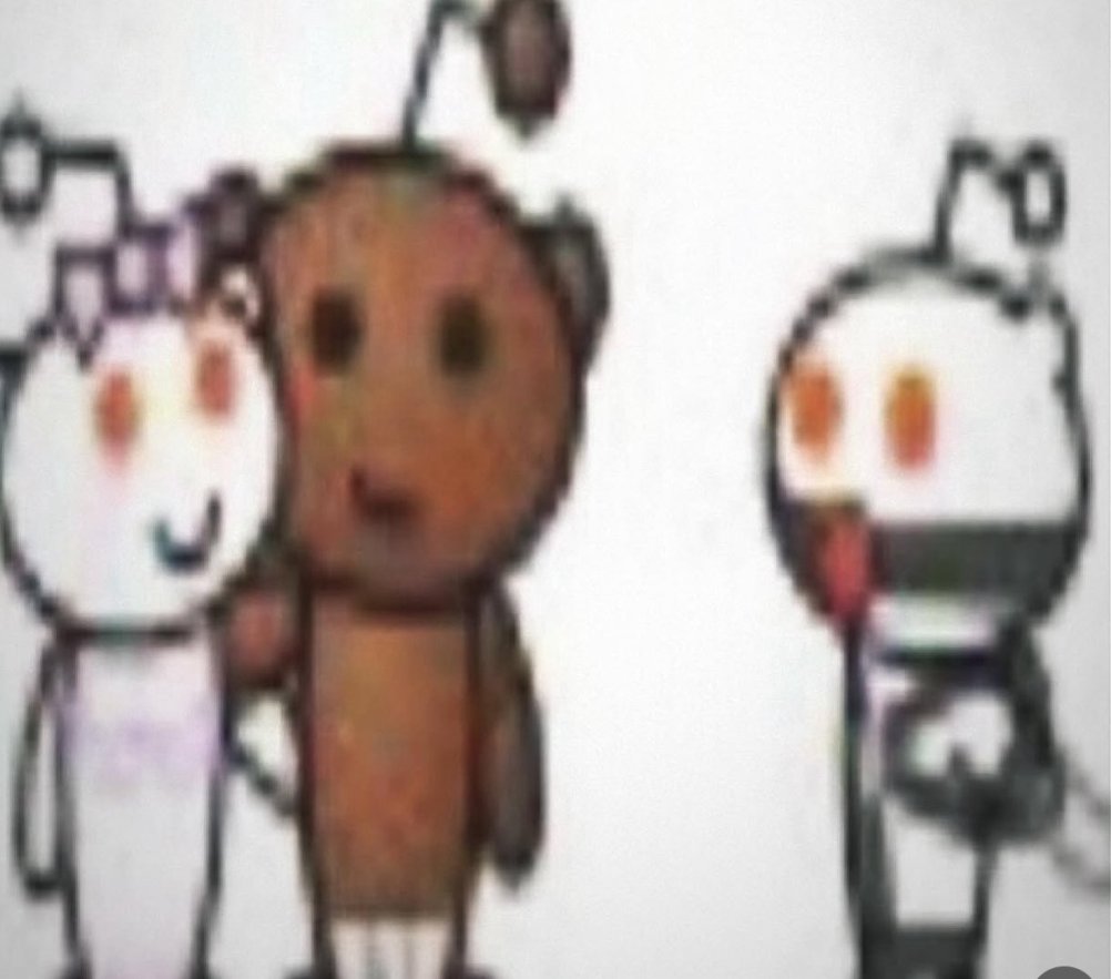 catsbait... tweet media