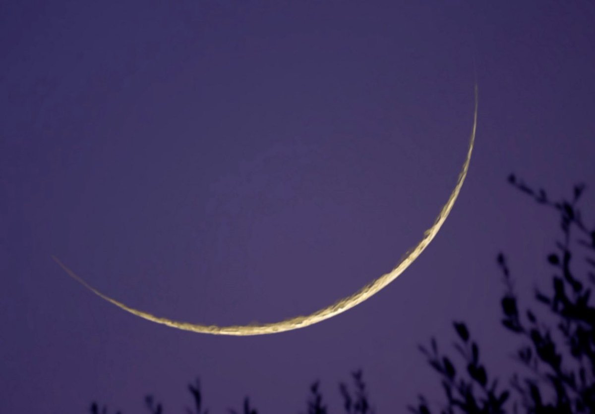 اذا ذا الاذى في ذروة سنام التطور
عز الله ان عزه عزا في عز التحطم

ماشفنا شفايف ماش شي متلطم
وصار الصبر مصير اصرار المصور

#مقرن_الخراصي
