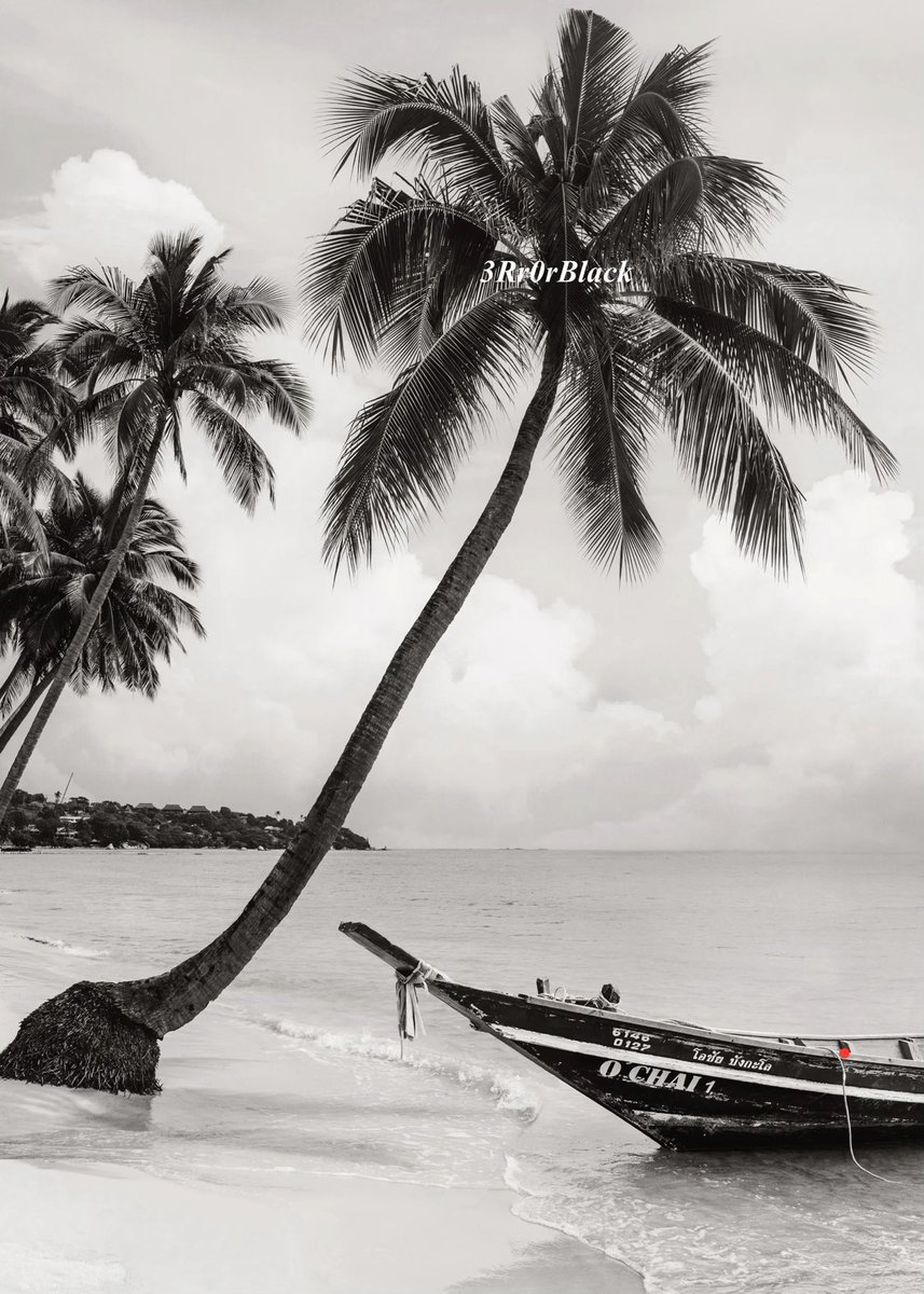 ..✌️. tweet media