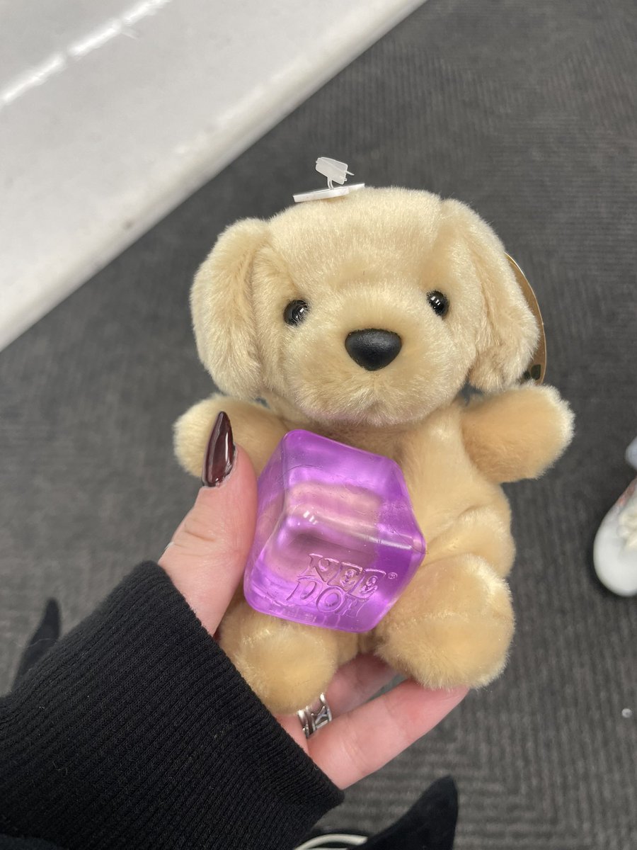 dogpoasting tweet media