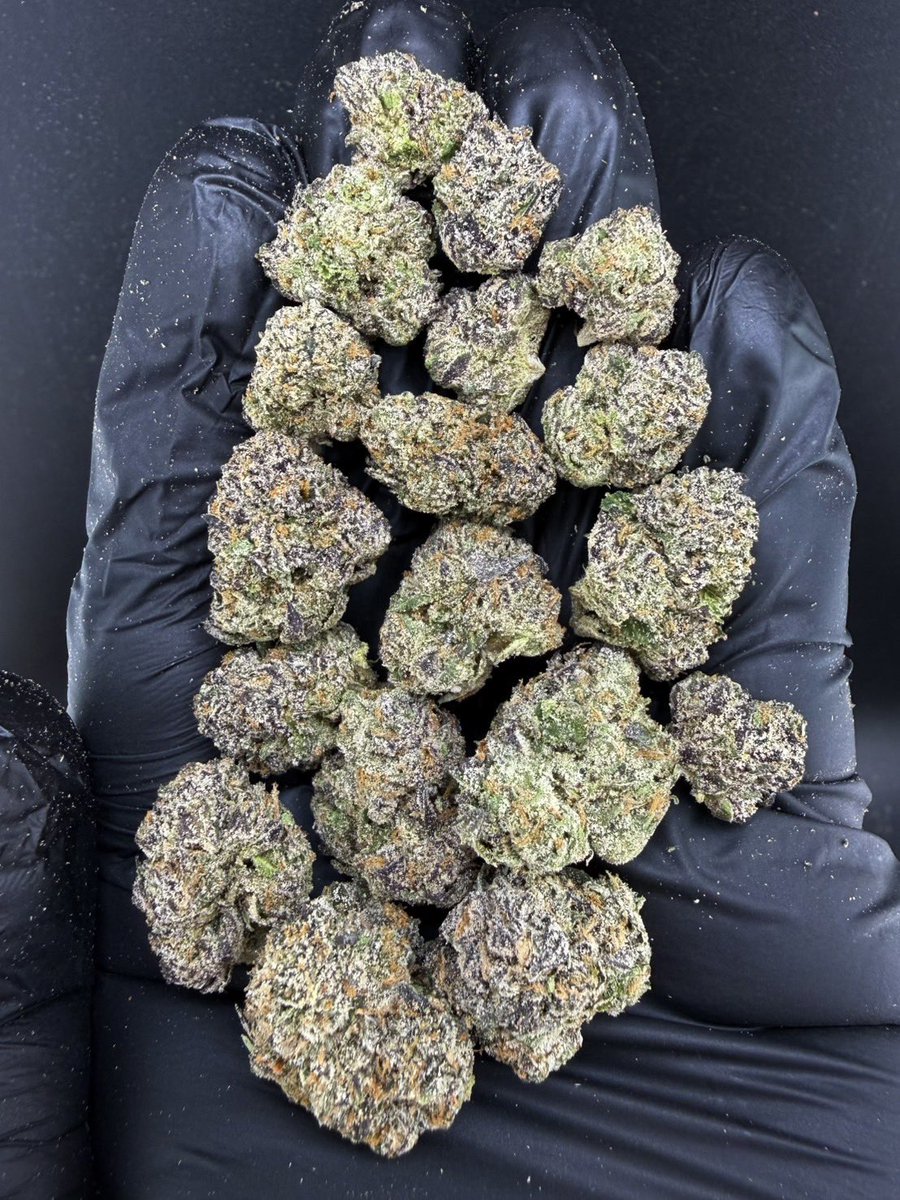 HippieVibe999's tweet photo. Pink Runtz 💗🍬 
Indica 50% Sativa 50%

THC ≈ 27%
Flavors : 🍬 Candy · 🍓 Fruity Sweet · 🌸 Floral · 🍦 Creamy · ⛽ Gas

Contact Line➡️ https://t.co/lCmrEBHqs5

#กัญชา #weed #กัญชากรุงเทพ #OG #สายเขียว #cannabis #กัญชาส่งGrab https://t.co/3CT0QF1Wrw