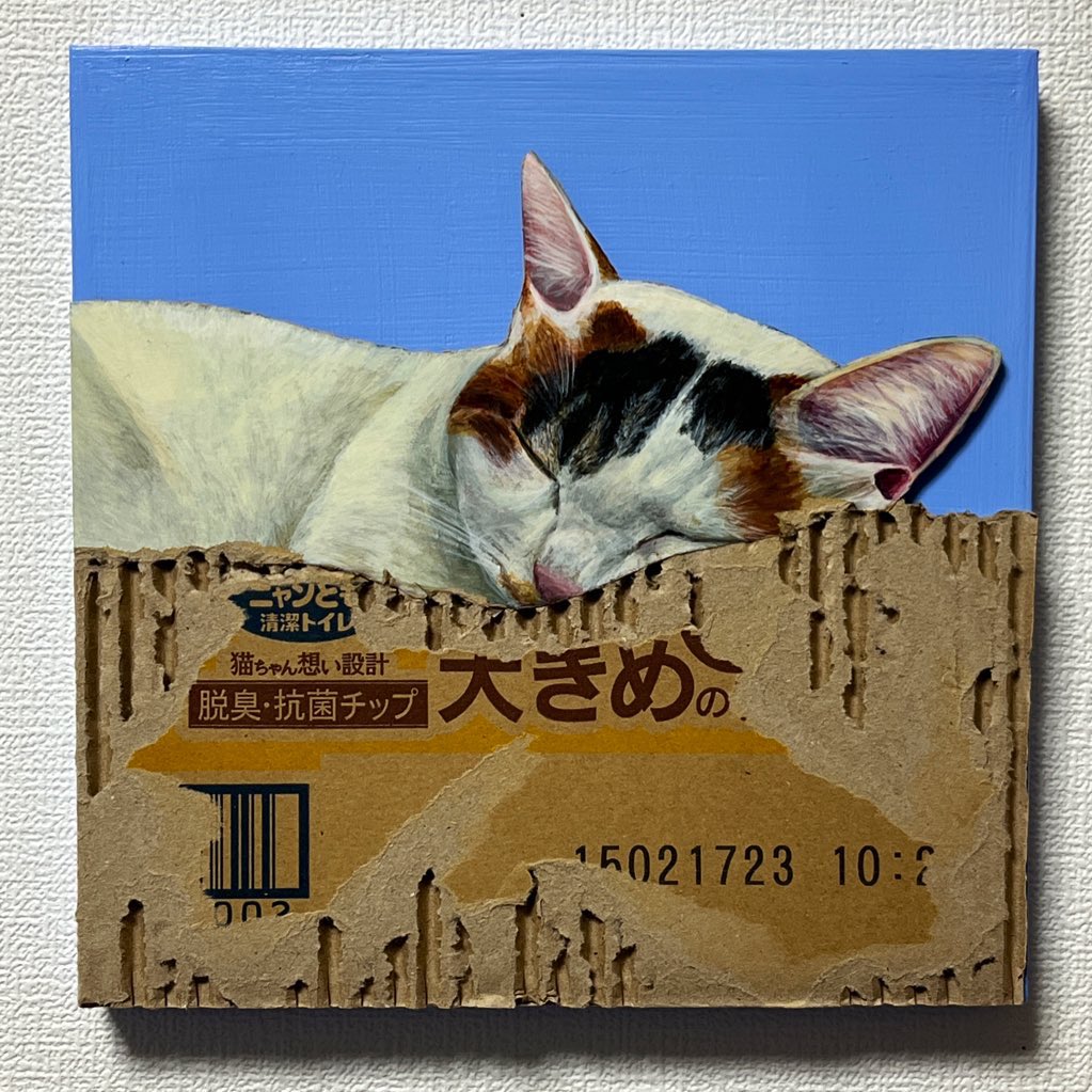 本日からです！ ねこ！ よろしくお願いします！ こんなところにもねこ