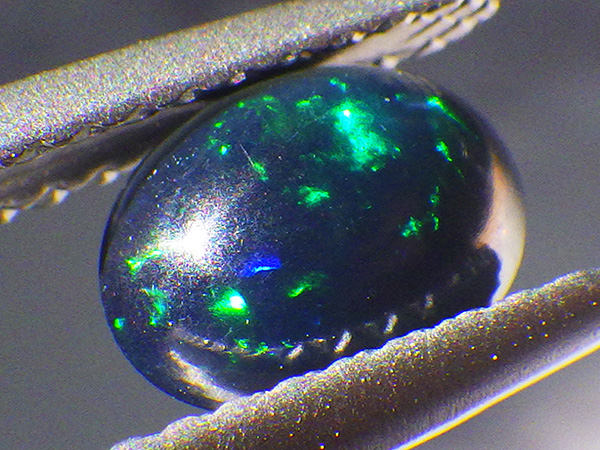 ショップからのお知らせ】 本日ウェブショップ更新いたしました