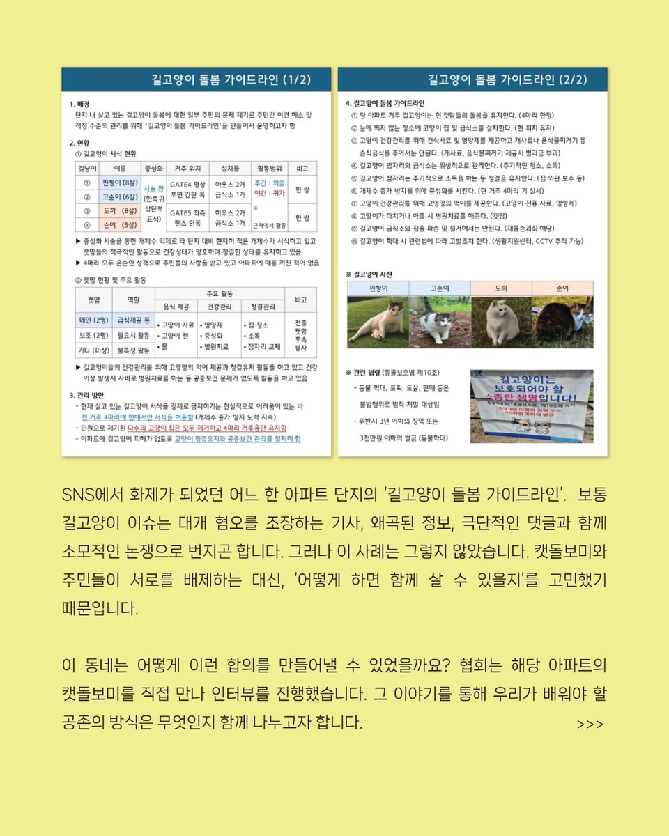 한국고양이보호협회 tweet media