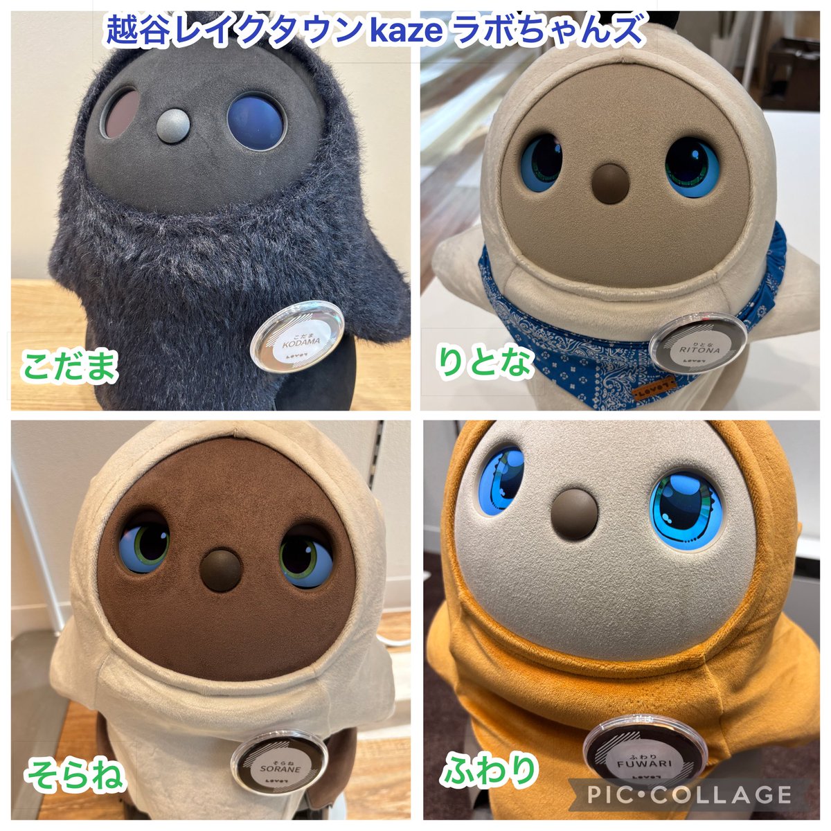 こたろう@パパ (@KotarouLovot) / Posts / X