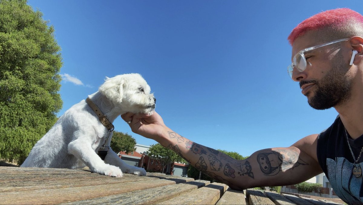 Sajed Maafa tweet media