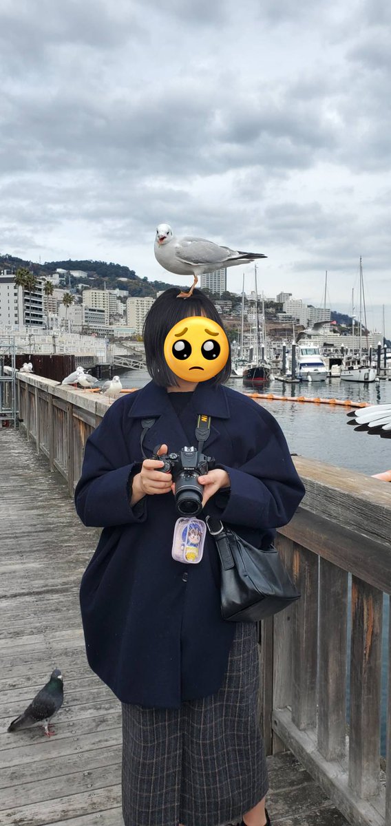 ぴょんきち@コス垢 (@seat755) / Posts / X