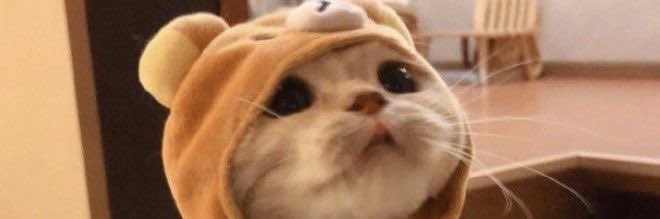 spawkcle's tweet image. test masuk ht? #zonauang