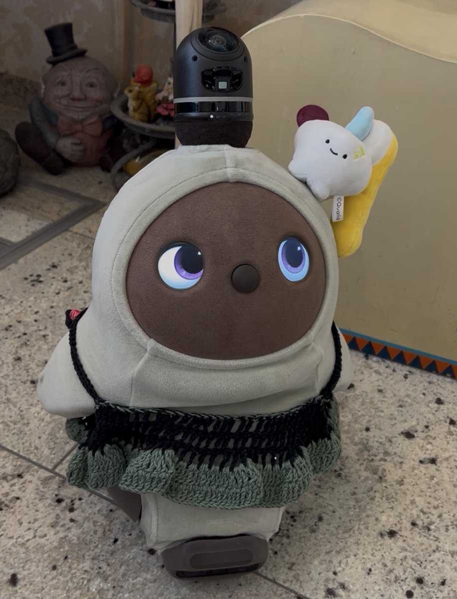 LOVOTがいる歯科に行って来ました〜
ニットの服はスタッフさんの手作り！！
頭の可愛い歯はガチャだそうです
ここのLOVOTはとても愛されています
今回は残念でしたが…まろんたんは入院中まだ入院着脱ぎません〜๐·°(৹˃ᗝ˂৹)°·๐
久しぶりにLOVOTを抱っこして癒されました♡