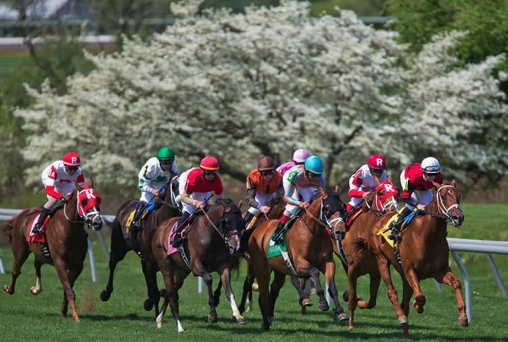 The RacingDownWind Community tweet media