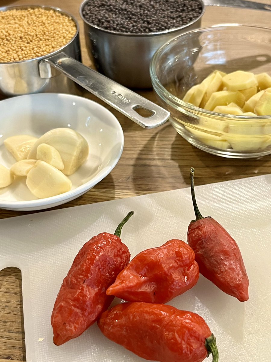 ThatDaengSauce's tweet photo. Not sure if we should be scared or not. We’ll find out in a month! 😛
#mustard #spicy #chili #Thailand #Bangkok #BKK #fermented #fermentedproducts #artisan #chilies #microbatch #ghost_chili #bhut_jolokia #pineapple_garlic https://t.co/EAAm86UxX5
