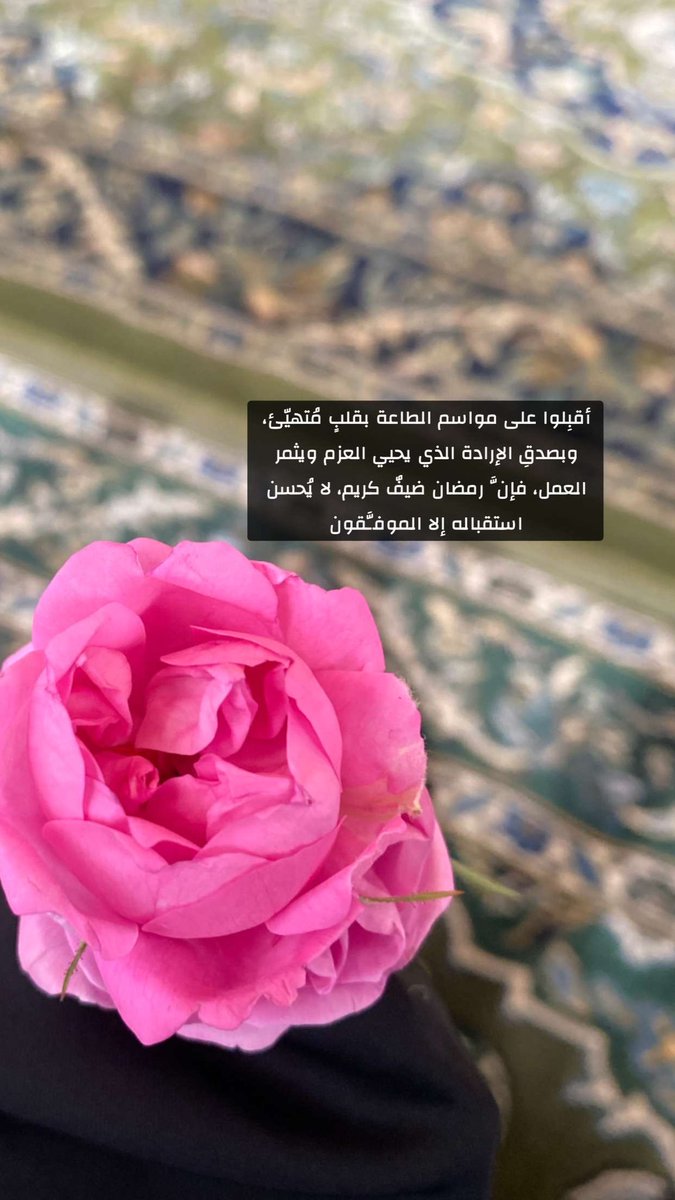 Att_Nar's tweet photo. اللهم وفقنا لما تحبه وترضاه🌿 https://t.co/ukmCYnAUyo