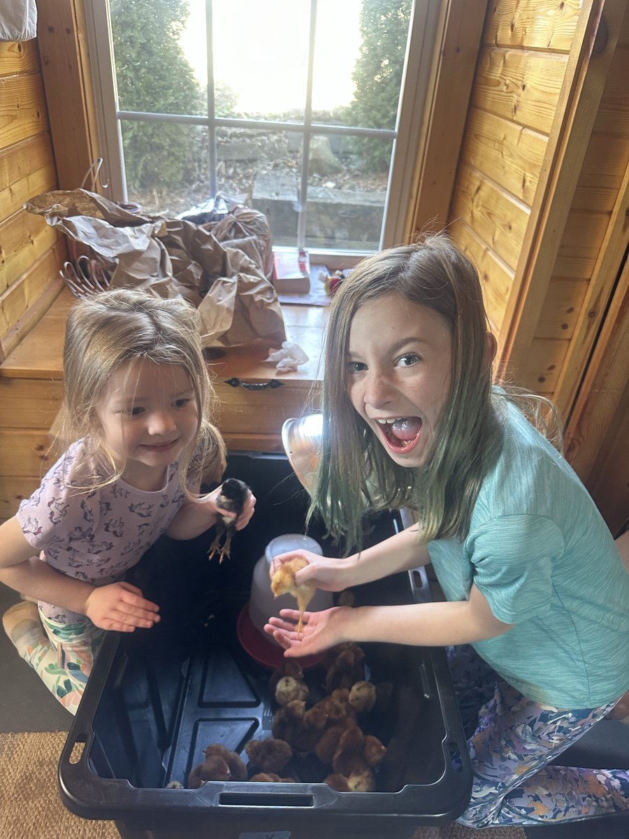 BeeSully 🐝 tweet media