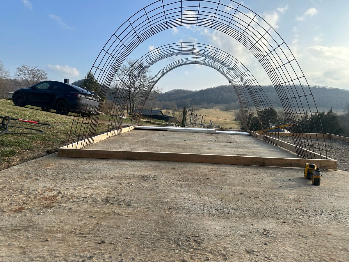 BeeSully 🐝 tweet media