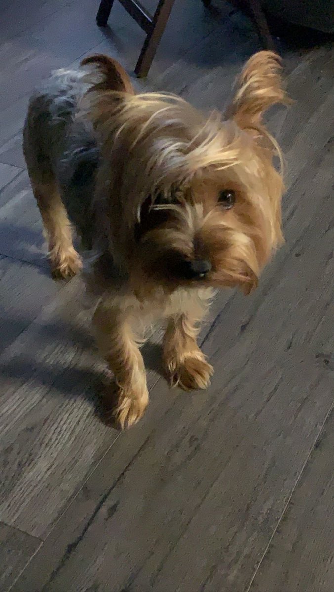 Dewyfields tweet media