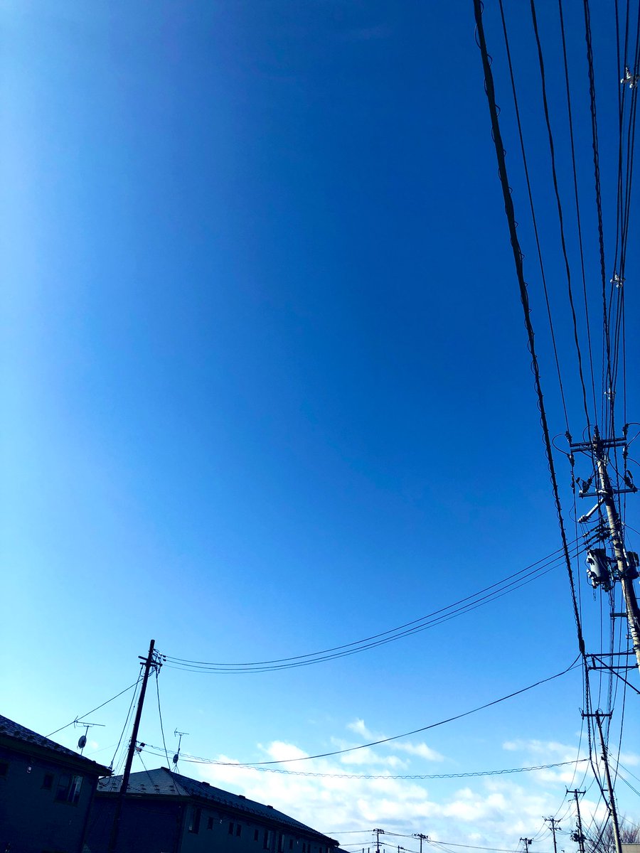 C☆sama tweet media