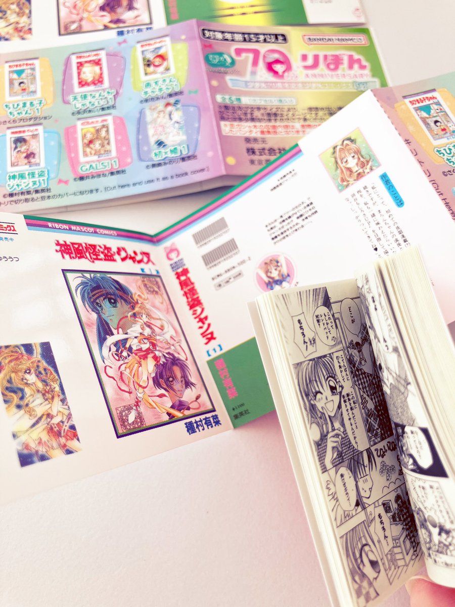 印刷技術すごいなぁ…。 本当に小さい本に全ページ印刷されてます、読め