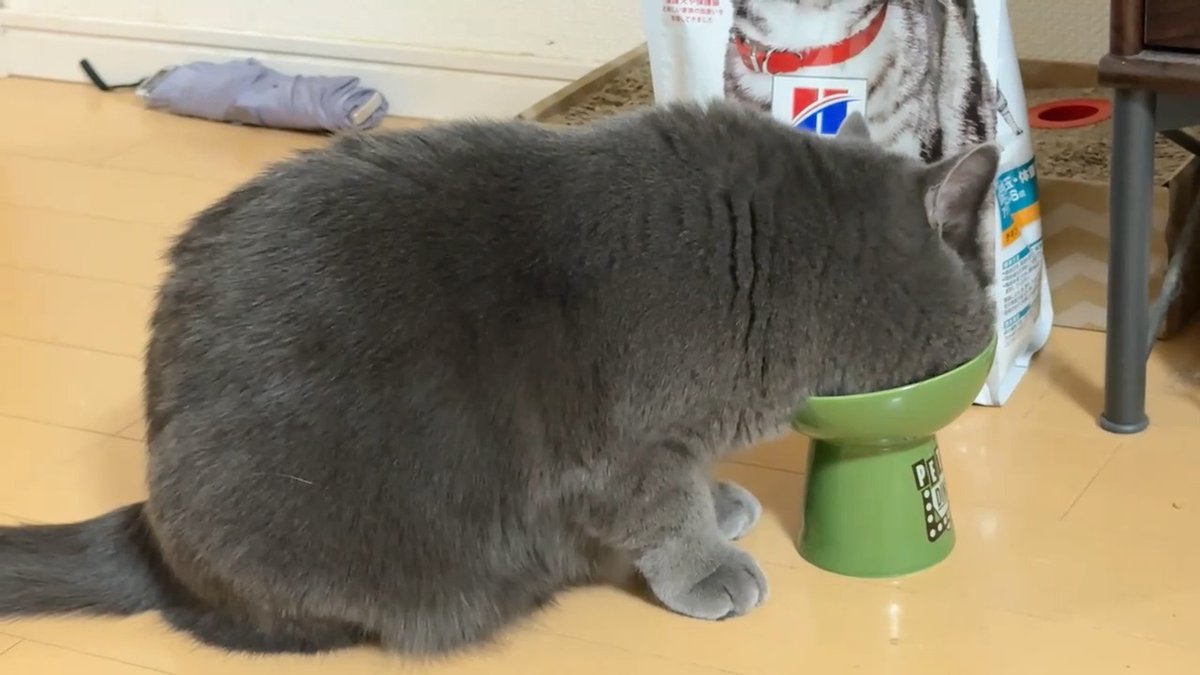 クリッパーびんびん年中無休 tweet media