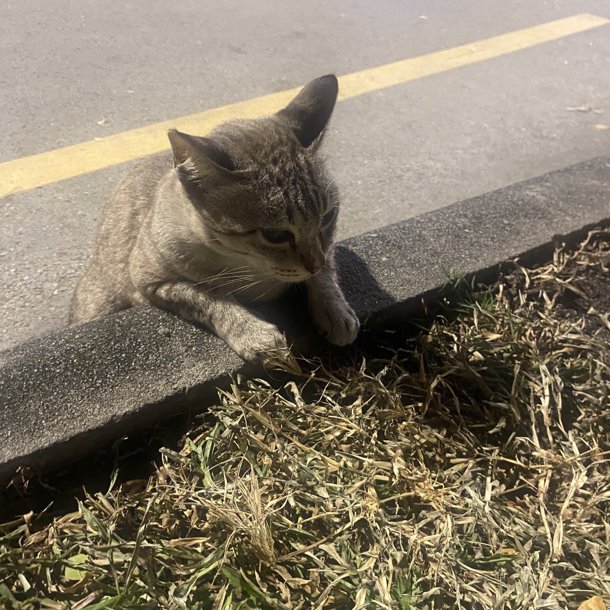 ละชีนั่งแบบนี้จริงๆ