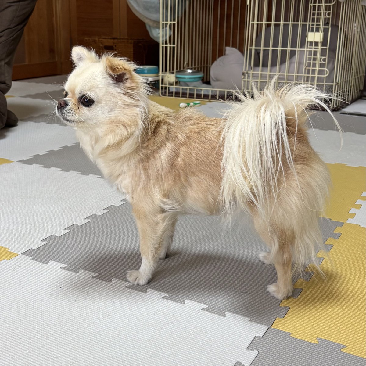 今の時期貴重なココちゃんの裸姿💕