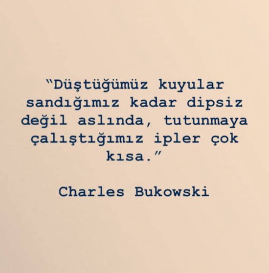 TÜRK Devlet Aklı
Davranış Biçimi

“Devlet aklı” (raison d’état), devletin varlığını, egemenliğini ve sürekliliğini her şeyin önünde tutan stratejik düşünme biçimidir.
Türk geleneğinde bu anlayış:
•Merkezî otoriteyi koruma,
•Toprak bütünlüğünü muhafaza,
•İç isyanlara karşı sert