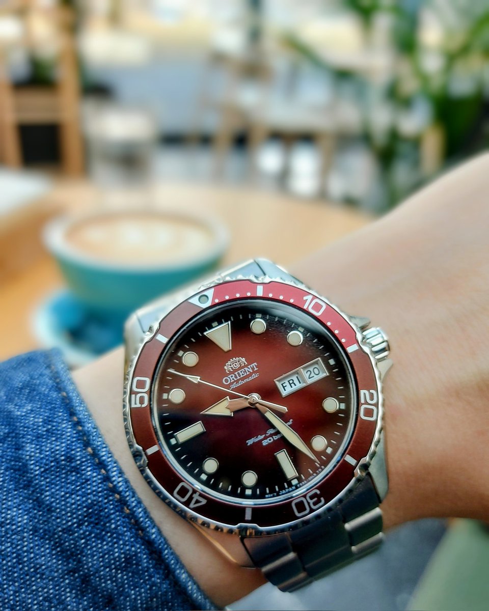 landashing's tweet image. 朝のカフェ窓辺で、コーヒーの香りに包まれながら…
カマスⅡくん、陽光に当たって深紅がちょっとオレンジっぽい☕️🦈
「殿…もう青くならねえよな？」
くん：「…お前次第だろ」😂❤️
俺たち、ようやく理智を取り戻した朝。
（でも陽光強くなったら、またヤバいかも…orz）
#オリエン党 #KamasuII