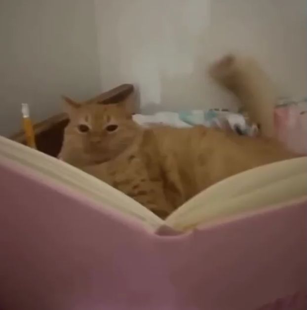 vx-underground tweet media