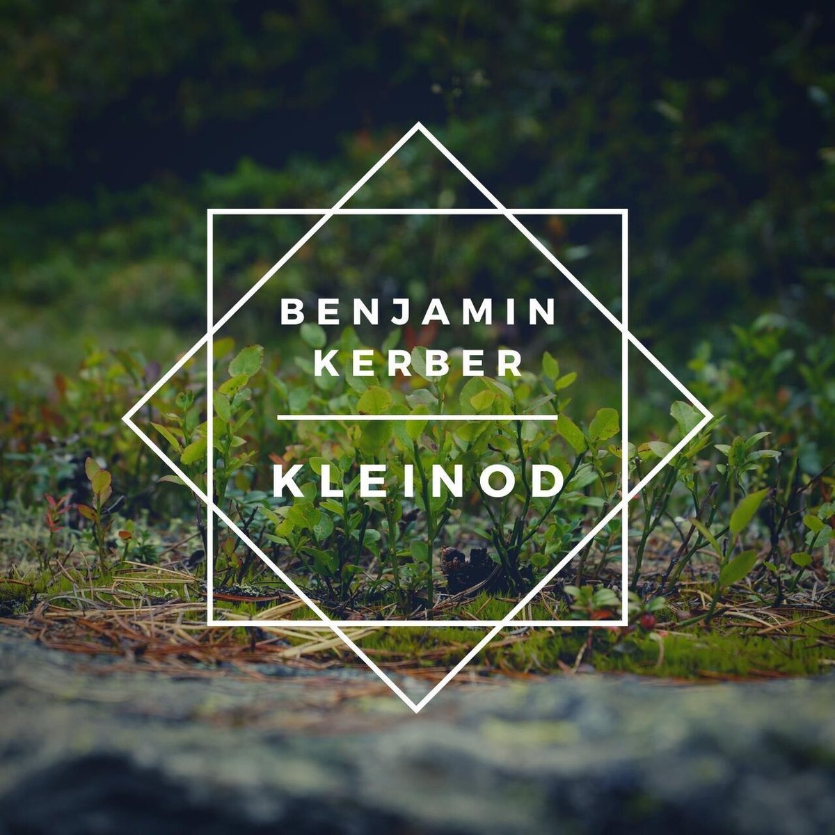 Hör dir Das Moos von Benjamin #Kerber an tidal.com/track/28623318… #tidal #musik