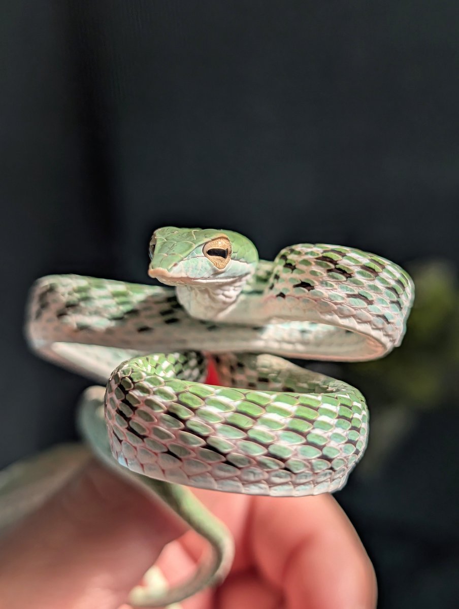 Post by 𝕏JINE on X: かわいい