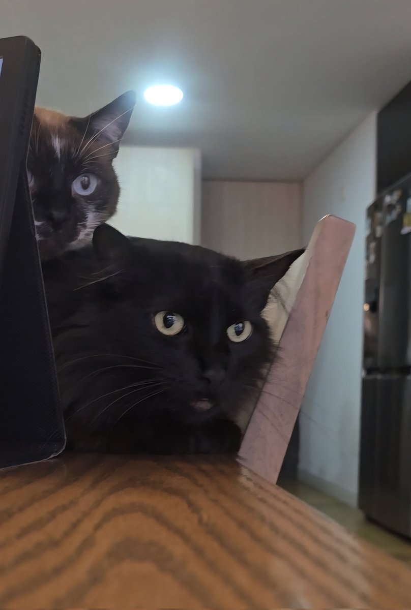 #chismosos como <a href="/Tolaymaruja/">Tola y Maruja</a> 
Se viene video.

Que cree ustedes que estaban haciendo para tener esas caras?
👇 comenta abajo!!