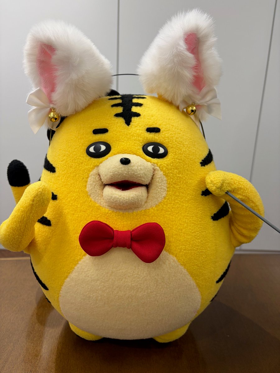 「吾輩は猫である🐯」

いいえ、あなたは虎です。
『猫の日』を堪能している、たいがさんです。よろしくお願いします。（お世話係）