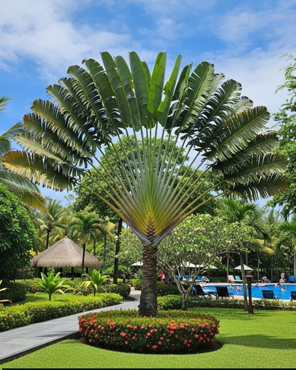 Landscapecture's tweet photo. https://t.co/7SHOPOQXCr